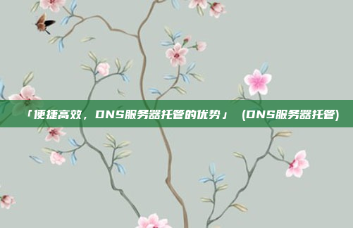 「便捷高效,DNS服务器托管的优势」 (DNS服务器托管)