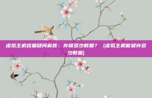 虚拟主机容量疑问解答:存储多少数据? (虚拟主机能储存多少数据)