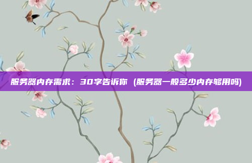 服务器内存需求:30字告诉你 (服务器一般多少内存够用吗)