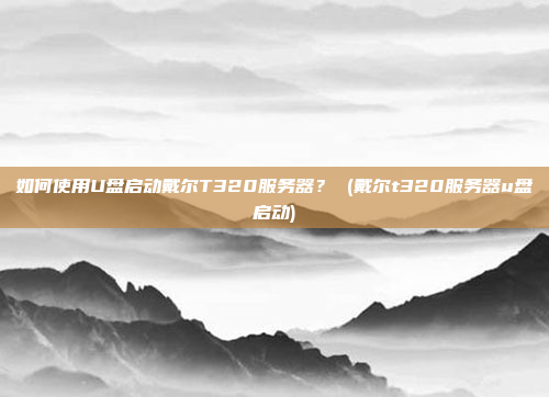 如何使用U盘启动戴尔T320服务器? (戴尔t320服务器u盘启动)