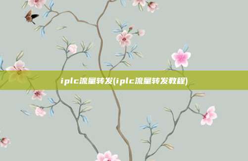 iplc流量转发(iplc流量转发教程)