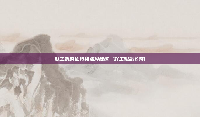 好主机的优势和选择建议 (好主机怎么样)