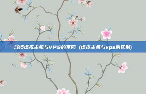 浅谈虚拟主机与VPS的不同 (虚拟主机与vps的区别)