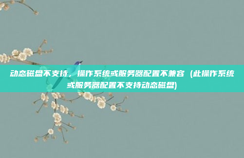 动态磁盘不支持,操作系统或服务器配置不兼容 (此操作系统或服务器配置不支持动态磁盘)