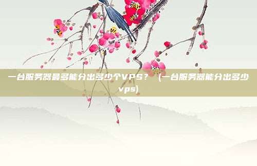 一台服务器最多能分出多少个VPS？ (一台服务器能分出多少vps)