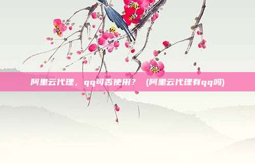 阿里云代理,qq可否使用? (阿里云代理有qq吗)