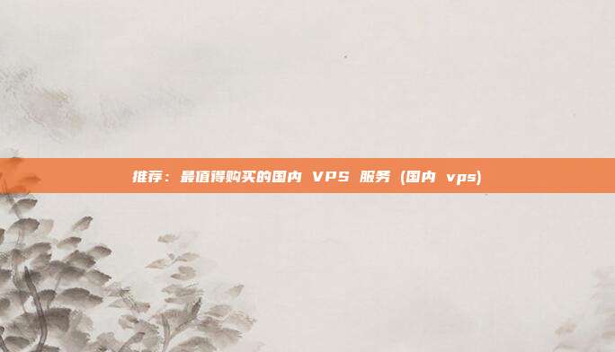 推荐:最值得购买的国内 VPS 服务 (国内 vps)