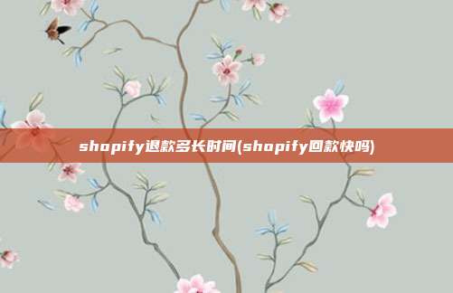 shopify退款多长时间(shopify回款快吗)