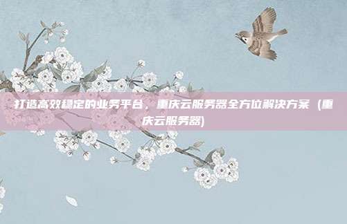 打造高效稳定的业务平台,重庆云服务器全方位解决方案 (重庆云服务器)