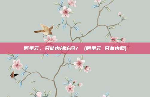 阿里云:只能内部访问? (阿里云 只有内网)