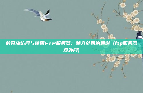 的开放访问与使用FTP服务器:踏入外网的通道 (ftp服务器对外网)