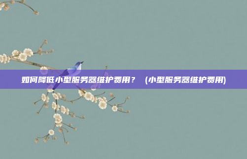 如何降低小型服务器维护费用? (小型服务器维护费用)