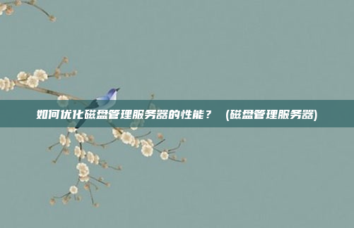 如何优化磁盘管理服务器的性能? (磁盘管理服务器)