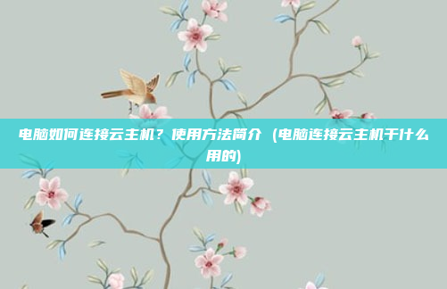 电脑如何连接云主机?使用方法简介 (电脑连接云主机干什么用的)