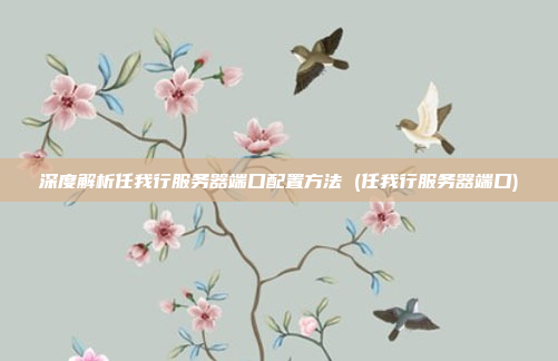 深度解析任我行服务器端口配置方法 (任我行服务器端口)