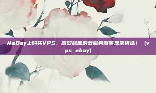 从eBay上购买VPS,高效稳定的云服务器等您来挑选! (vps ebay)