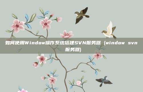 如何使用Window操作系统搭建SVN服务器 (window svn 服务器)
