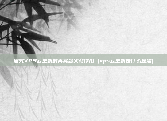 探究VPS云主机的真实含义和作用 (vps云主机是什么意思)