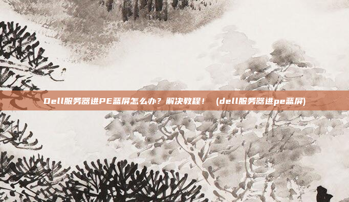 Dell服务器进PE蓝屏怎么办？解决教程！ (dell服务器进pe蓝屏)