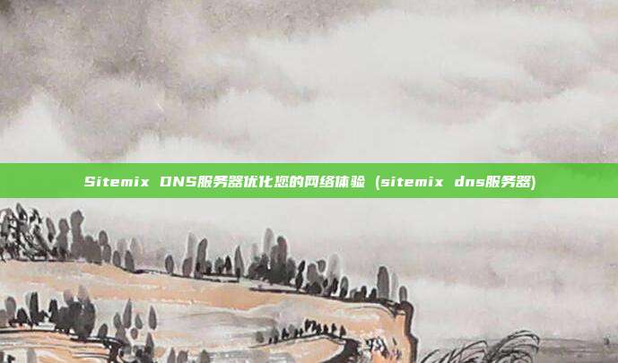 Sitemix DNS服务器优化您的网络体验 (sitemix dns服务器)