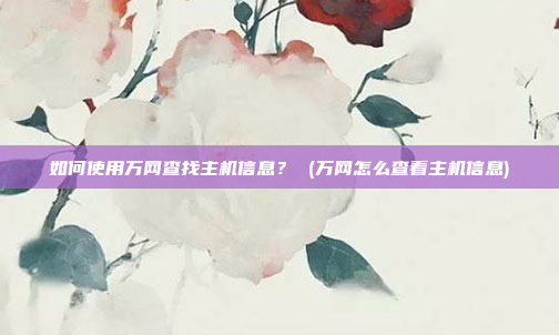 如何使用万网查找主机信息? (万网怎么查看主机信息)