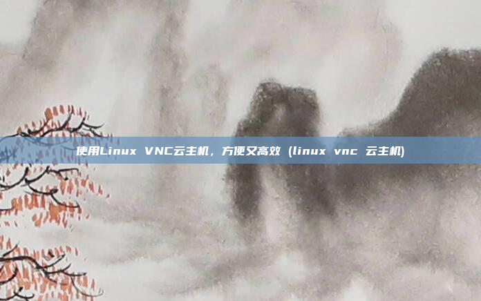 使用Linux VNC云主机,方便又高效 (linux vnc 云主机)