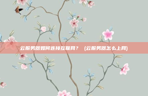 云服务器如何连接互联网? (云服务器怎么上网)