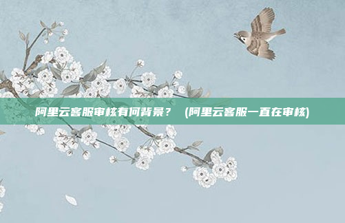 阿里云客服审核有何背景? (阿里云客服一直在审核)