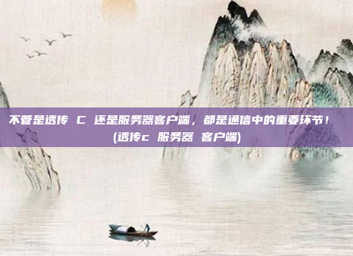 不管是透传 C 还是服务器客户端,都是通信中的重要环节! (透传c 服务器 客户端)