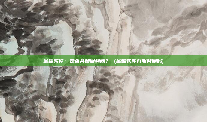 金蝶软件:是否具备服务器? (金蝶软件有服务器吗)