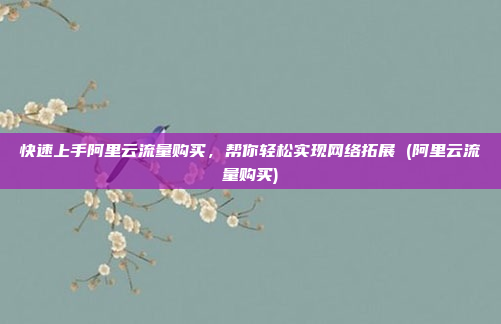快速上手阿里云流量购买,帮你轻松实现网络拓展 (阿里云流量购买)