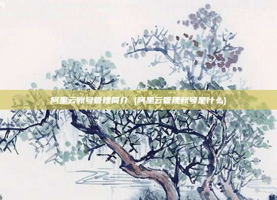 阿里云账号管理简介 (阿里云管理账号是什么)