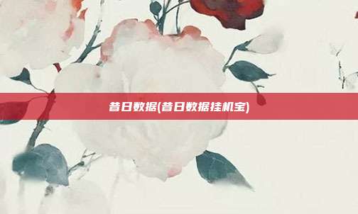 昔日数据(昔日数据挂机宝)