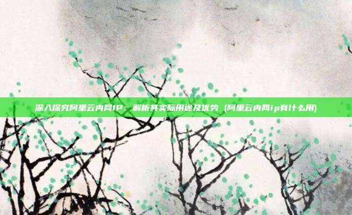 深入探究阿里云内网IP:解析其实际用途及优势 (阿里云内网ip有什么用)