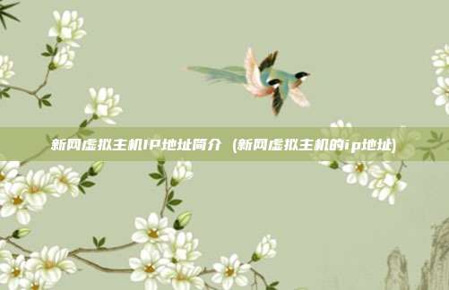 新网虚拟主机IP地址简介 (新网虚拟主机的ip地址)
