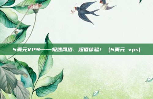 5美元VPS——极速网络、超值体验！ (5美元 vps)
