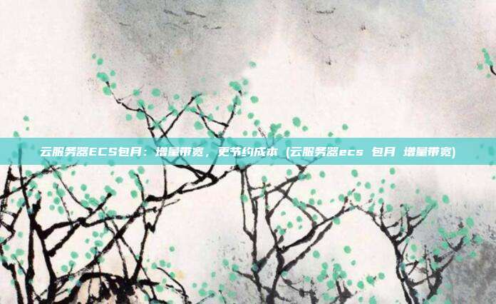 云服务器ECS包月:增量带宽,更节约成本 (云服务器ecs 包月 增量带宽)