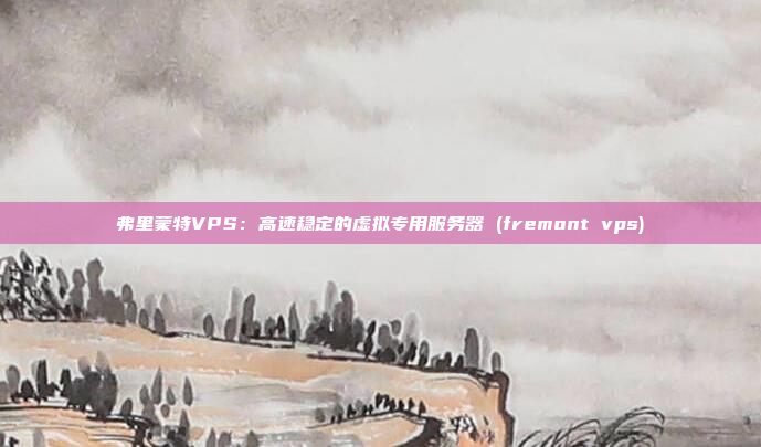 弗里蒙特VPS:高速稳定的虚拟专用服务器 (fremont vps)
