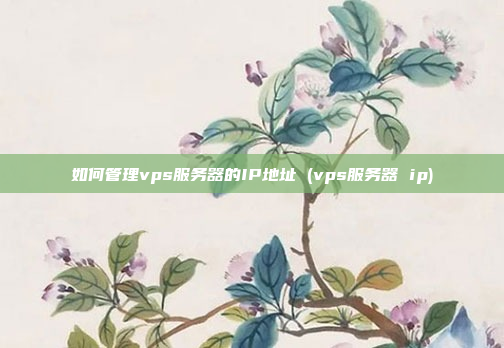 如何管理vps服务器的IP地址 (vps服务器 ip)