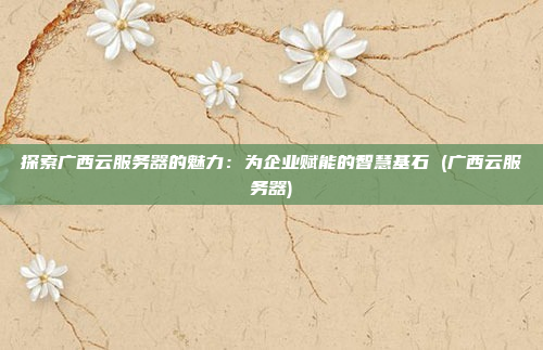 探索广西云服务器的魅力:为企业赋能的智慧基石 (广西云服务器)