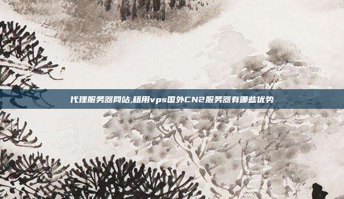 代理服务器网站,租用vps国外CN2服务器有哪些优势