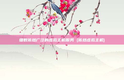 细数依然广泛的虚拟主机服务 (依然虚拟主机)