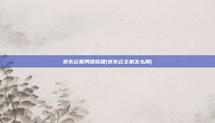 京东云服务器搭建(京东云主机怎么用)