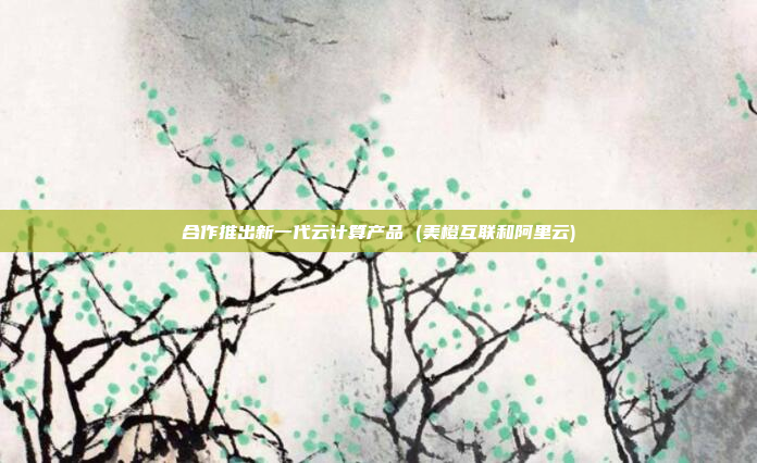 合作推出新一代云计算产品 (美橙互联和阿里云)