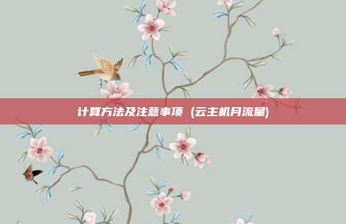 计算方法及注意事项 (云主机月流量)