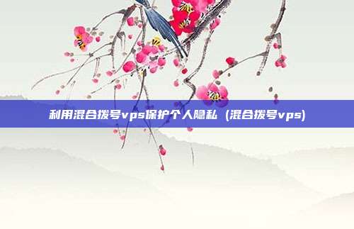 利用混合拨号vps保护个人隐私 (混合拨号vps)