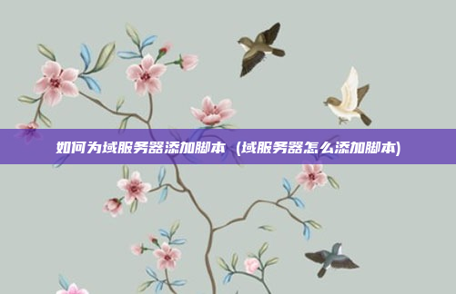 如何为域服务器添加脚本 (域服务器怎么添加脚本)