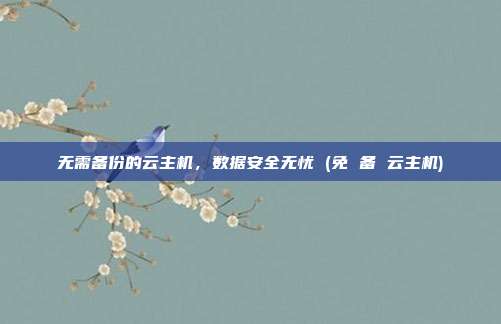 无需备份的云主机,数据安全无忧 (免 备 云主机)