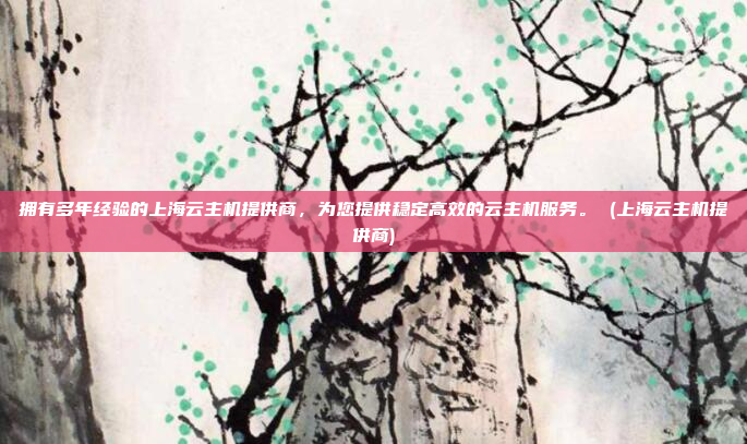 拥有多年经验的上海云主机提供商,为您提供稳定高效的云主机服务。 (上海云主机提供商)