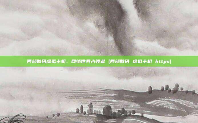 西部数码虚拟主机:网络世界占领者 (西部数码 虚拟主机 https)